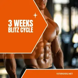 3 Weeks Blitz Cycle