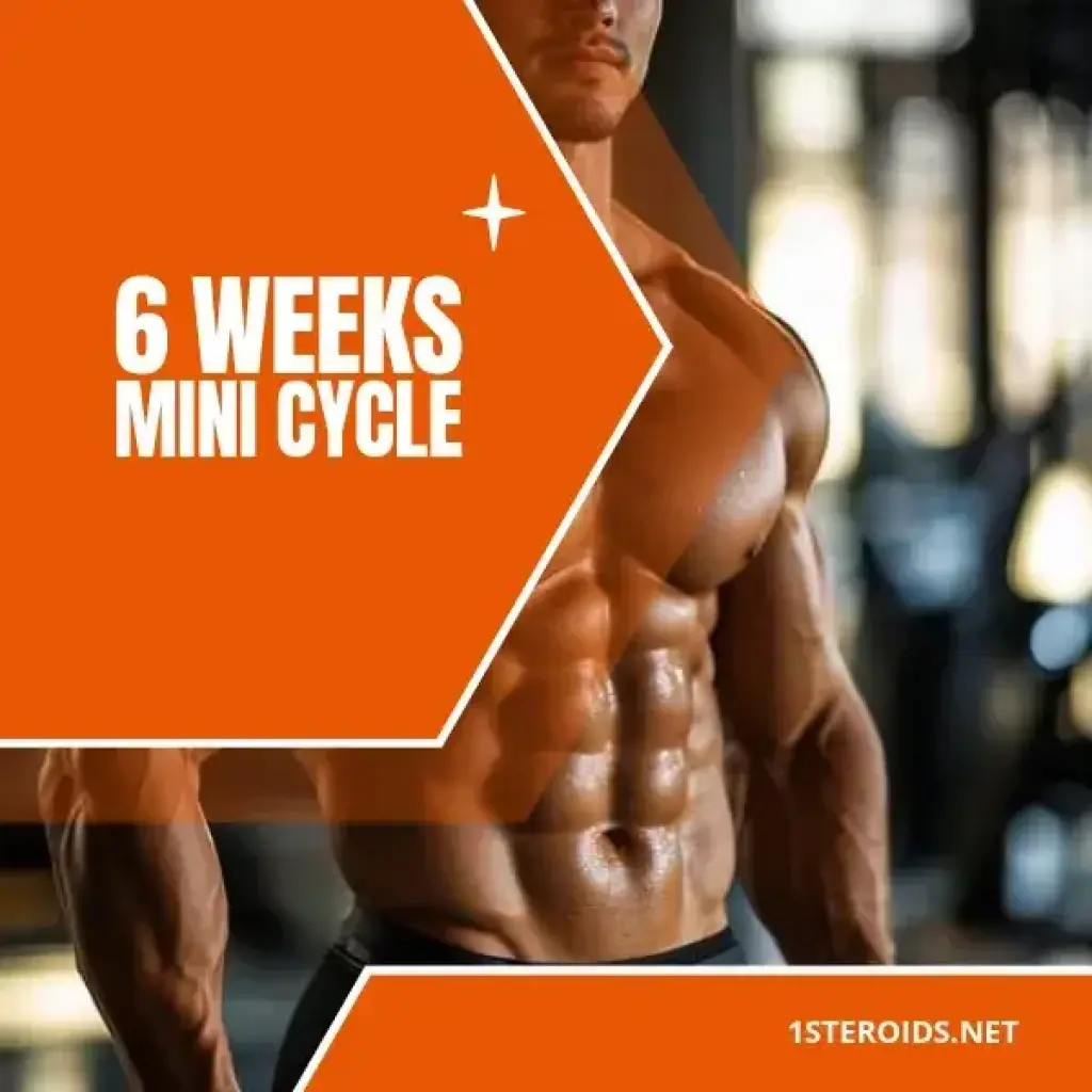 6 Weeks Mini Cycle