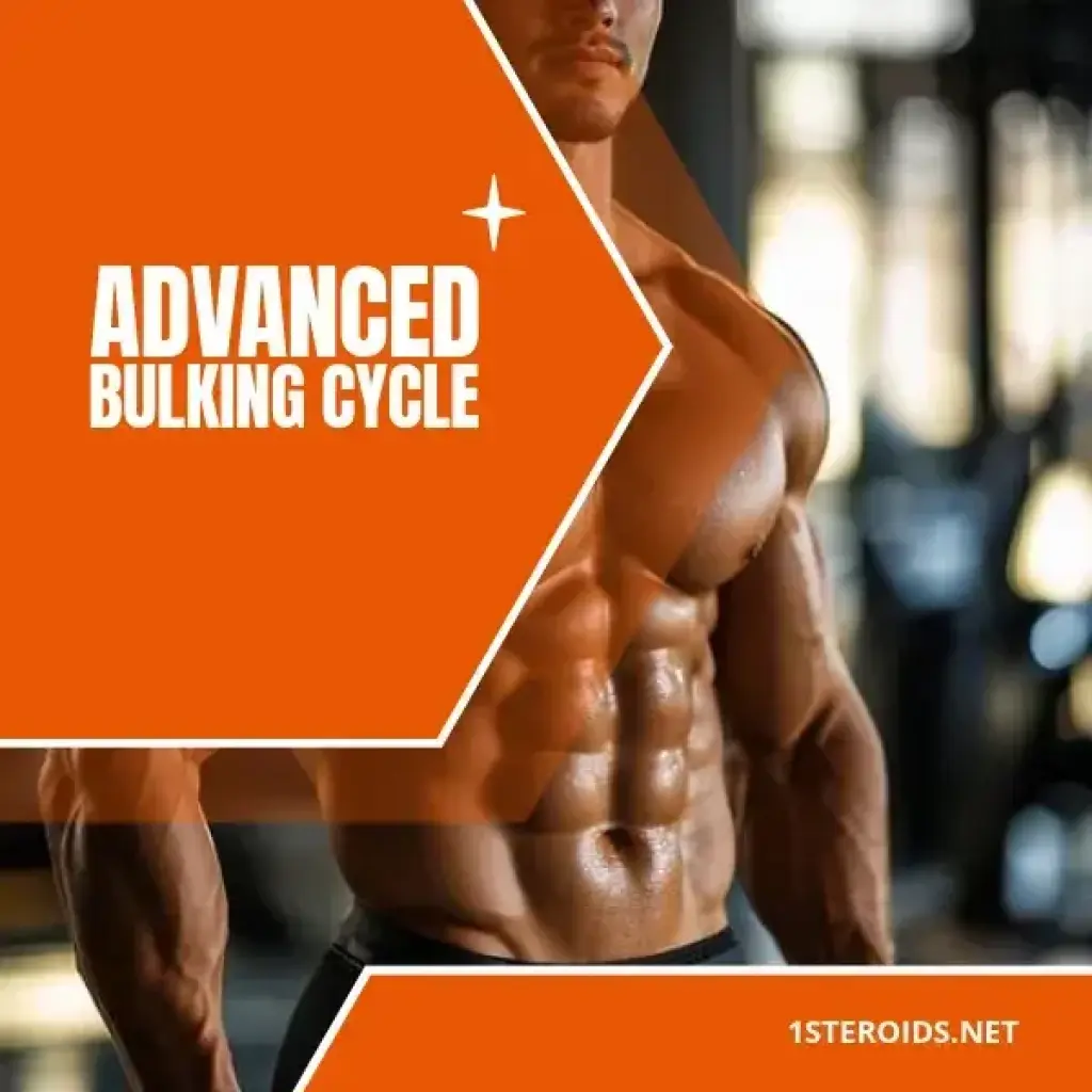Advanced Bulking Cycle
