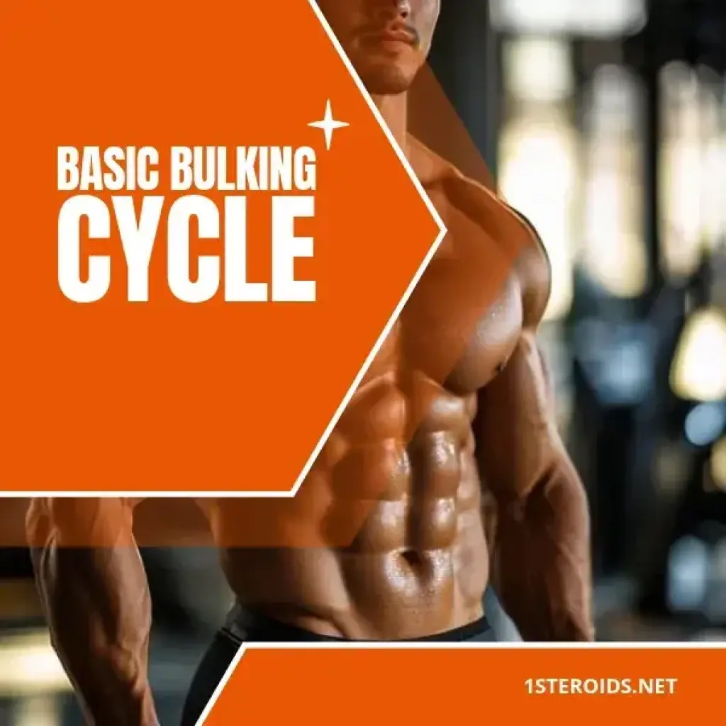Basic Bulking Cycle