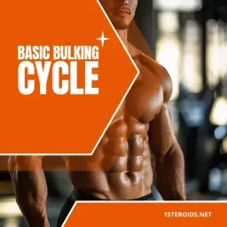 Basic Bulking Cycle