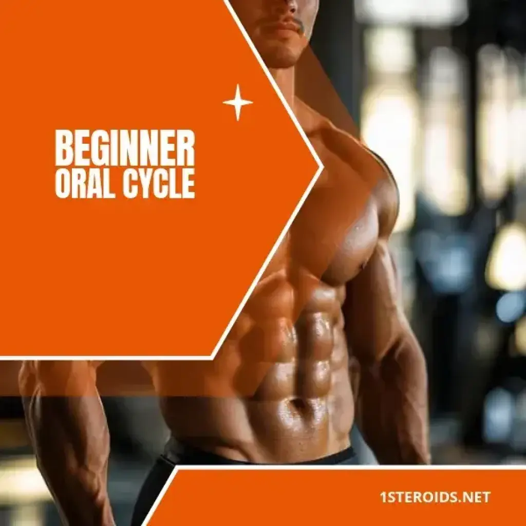 Beginner Oral Cycle