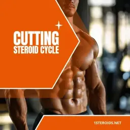 Cutting Cycle