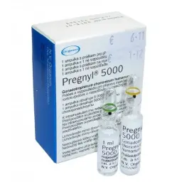 HCG Pregnyl 5000