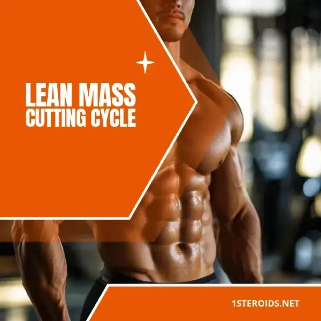 Lean Mass/Cutting Cycle