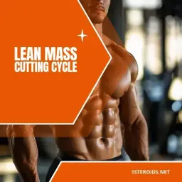 Lean Mass/Cutting Cycle