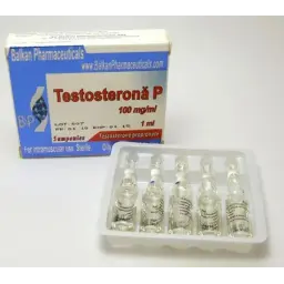 Testosterona P