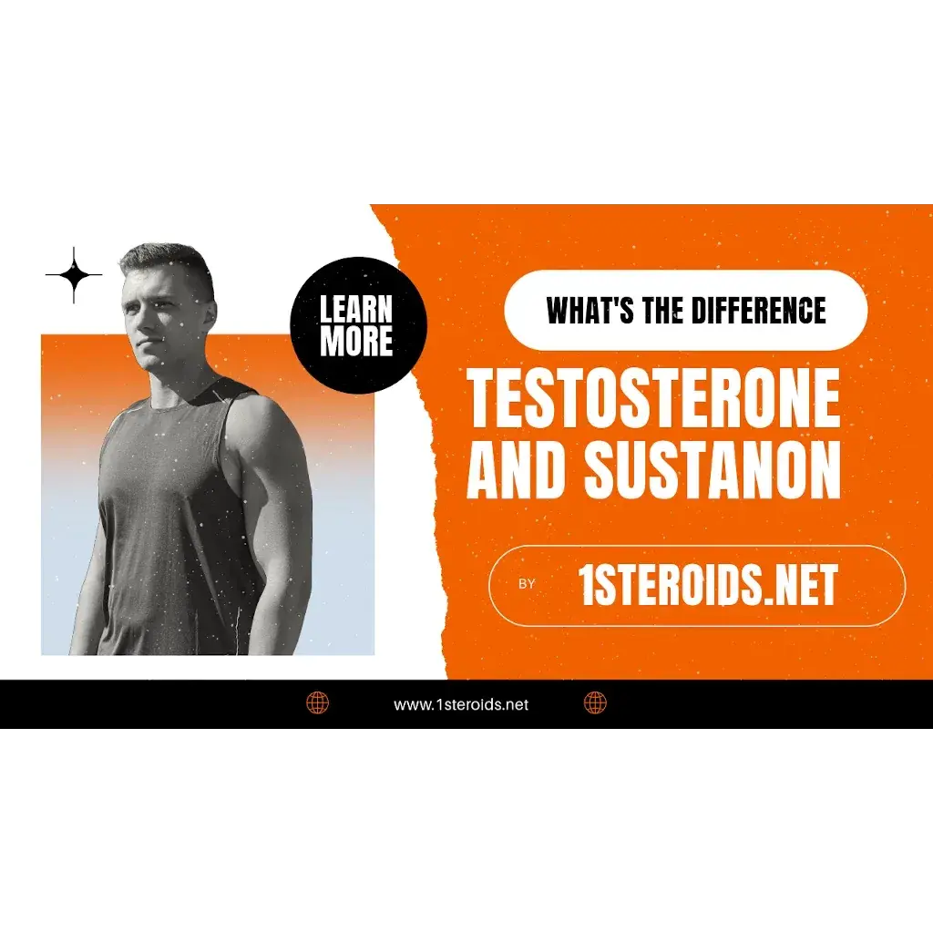 What's the Difference Between Testosterone and Sustanon?
